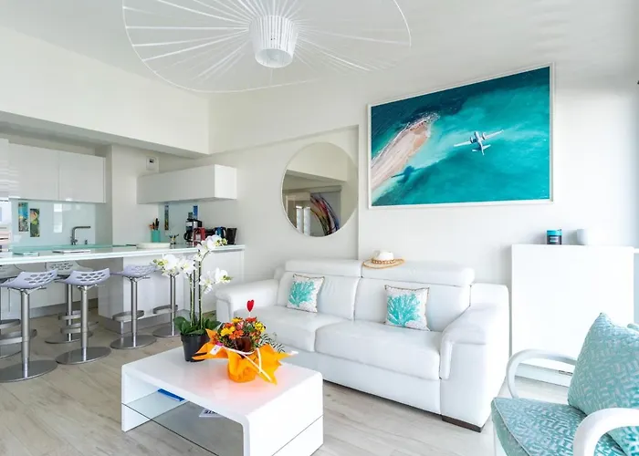 Apartment Climatise Avec Parking Et Balcon A - Fr-1-319-459